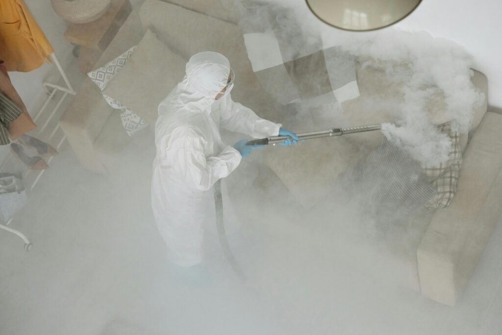 mold remediation in Commack
