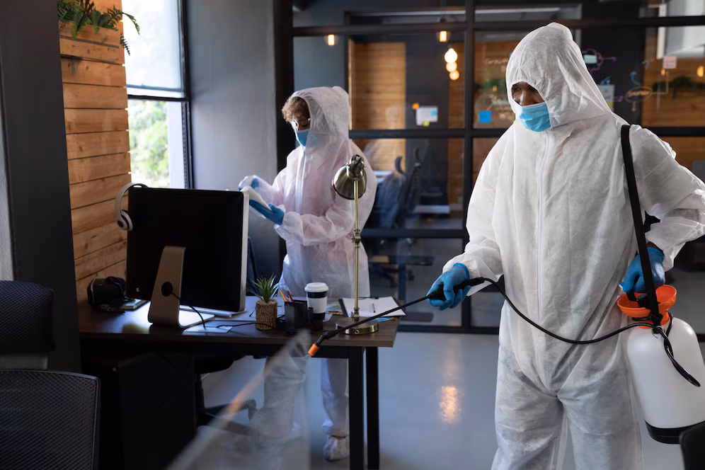 Asbestos removal